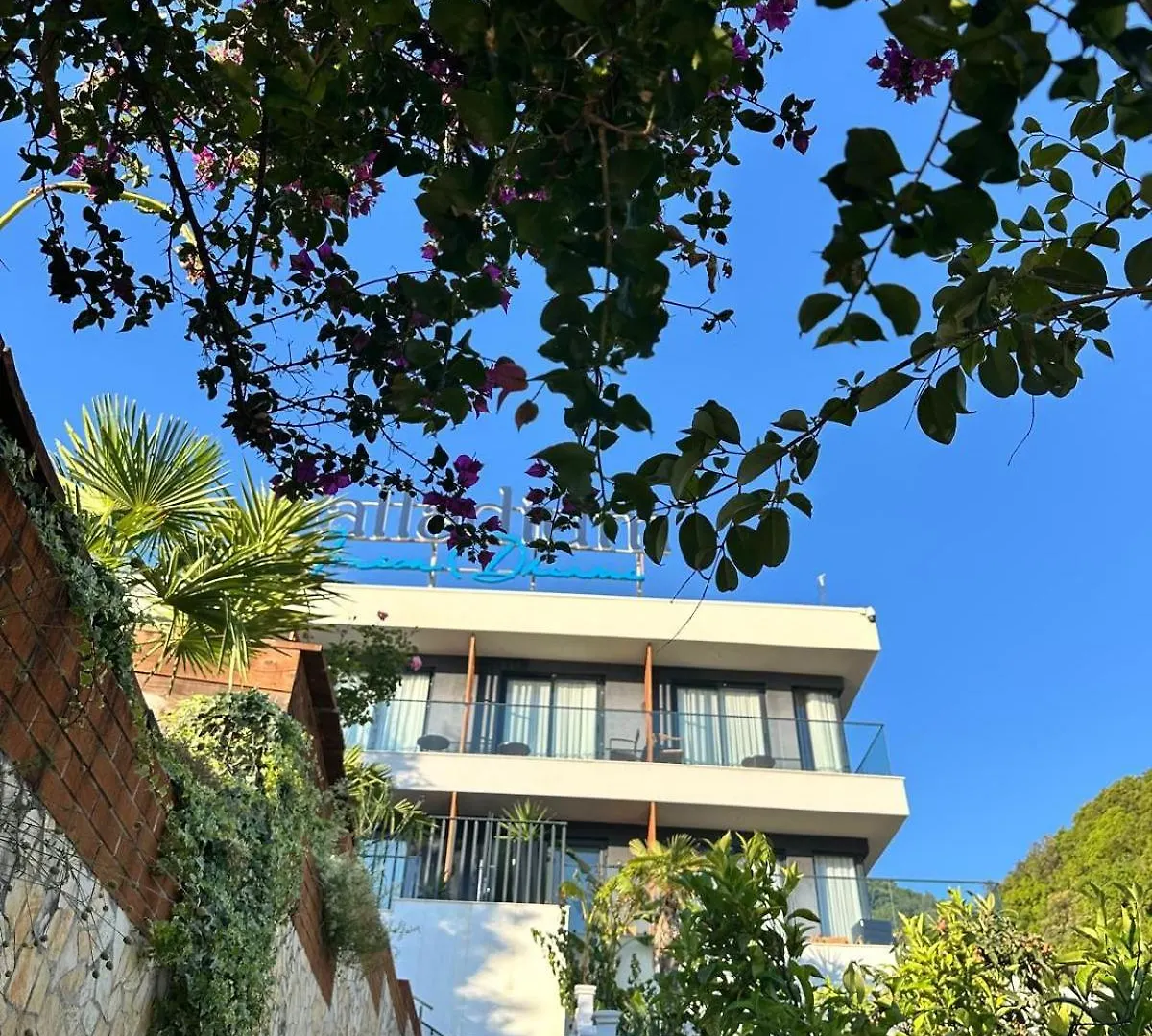 Palladium Beach Hotel- Private Beach Included Dhermi